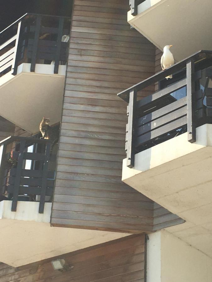 Mon Balcon Face A La Mer - Les Marinas Deauville Exterior foto